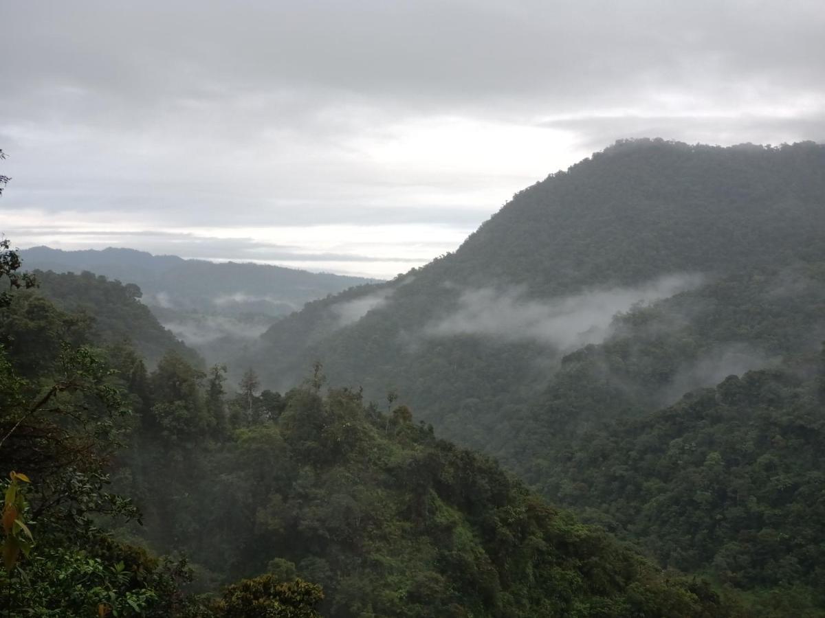 Biohostal Mindo Cloud Forest Exterior photo